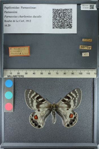 Media type: image;   Entomology 180469
